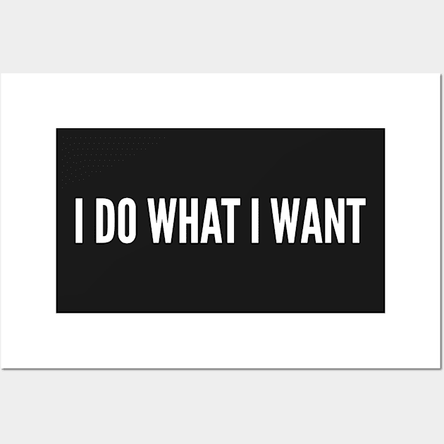 I Do What I Want - Silly Joke Humor Statement Wall Art by sillyslogans